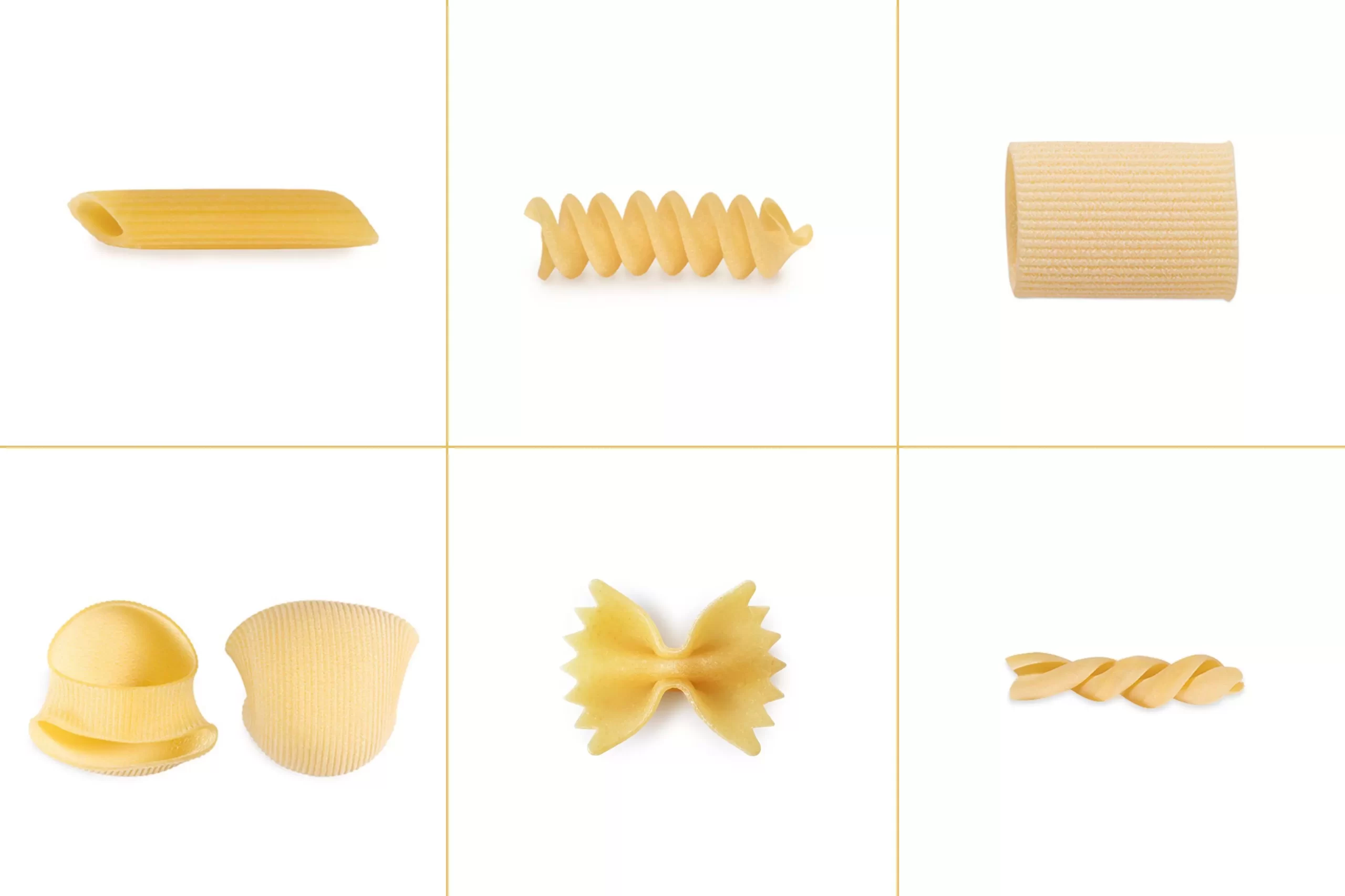 Exploring Short Pasta Shapes: Penne Rigate, Fusilli, Paccheri Rigati, Lumaconi, Farfalle and Trecce